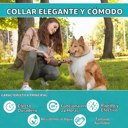 Vista 4 de Prevención de pulgas y garrapatas para perros, paquete de 4 collares