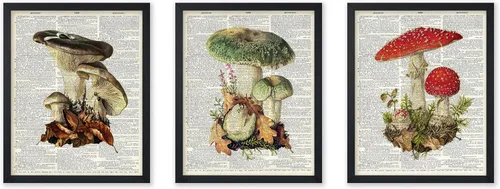Vista 30 de Poster Master Póster botánico vintage de 3 piezas, estampado floral retro, regalo para artistas, amigos, flores de acuarela, brillante, azul
