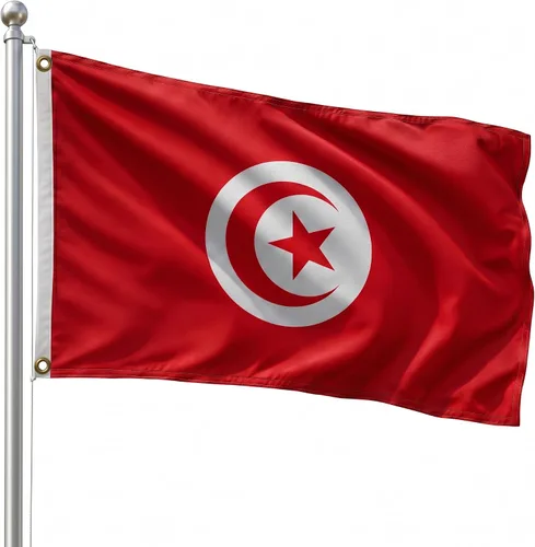 Vista 179 de DMSE - Bandera nacional beninesa beninesa de la República de África Occidental, 2 x 3 pies, 100 % poliéster, 100 % poliéster, resistente a los rayos