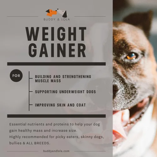 Vista 3 de Buddy & Lola Ganador de peso para perros – Suplemento para perros para aumento de peso – Polvo de Protien para perro para Max Muscle Builder