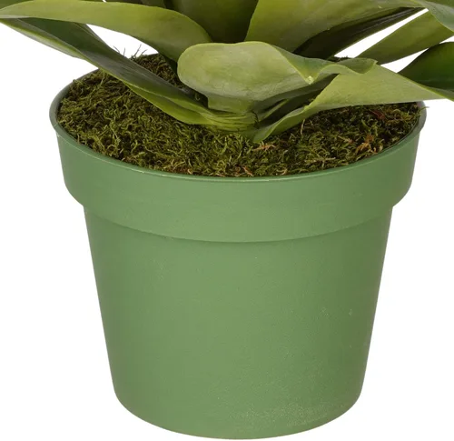 Vista 3 de Suculenta de agave artificial (mediana)