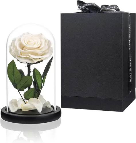Vista 6 de Rosas preservadas, rosas negras en cúpula de cristal, medianas, flores preservadas para el día de la madre, regalos para mujeres Negro