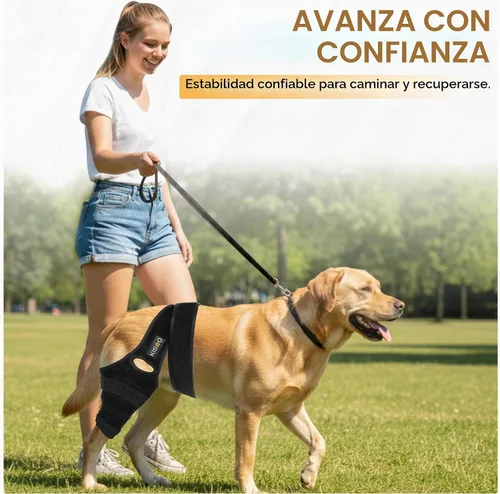 Vista 9 de KISAO Rodillera para perro para pierna trasera de ACL desgarrada, rodillera ajustable para aliviar el dolor de artritis para perros, compresión