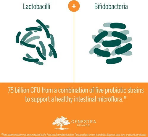 Vista 6 de Genestra Brands HMF Replete Fórmula probiótica para apoyar la flora intestinal saludable 7 sobres