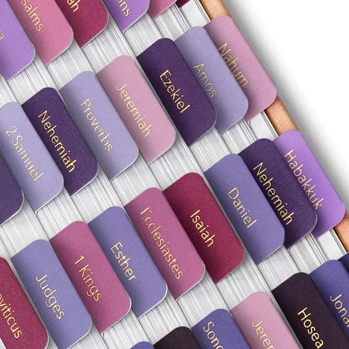 Vista 12 de Mr. Pen - Pestañas de la Biblia, 75 pestañas, tierra otoñal, letras doradas en relieve Laminated Bible Tabs for Women and Men, Bible Tabs for