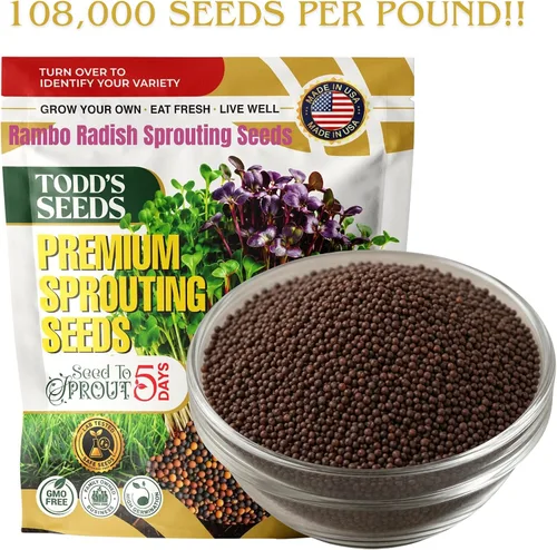 Vista 2 de Todd's Seeds Semillas de germinación de rábano Rambo, 1 libra, sin OMG Llamativos brotes rojos/morados. Listo en 5 días. Alto en vitaminas
