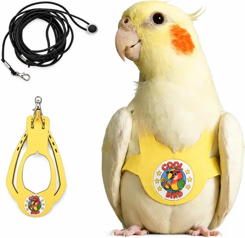 Vista 8 de Juego de arnés ajustable y correa para pájaros pequeños, apto para periquitos, conures, cacatúas, mejillas verdes, loros cuáqueros (verde, XS) 6350-6