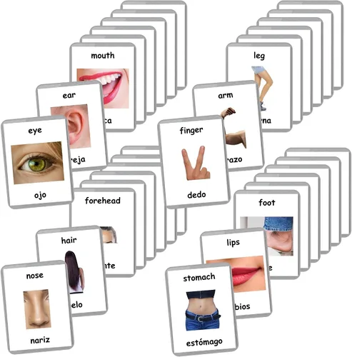 Vista 12 de Tarjetas didácticas bilingües en español inglés Tarjetas flash laminadas Elige tu conjunto (objetos del alfabeto)