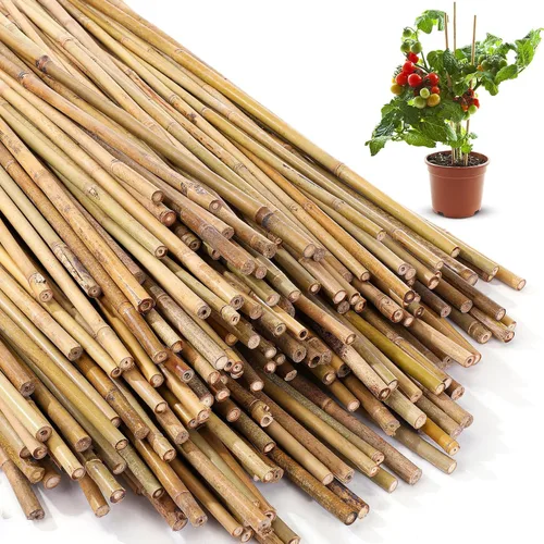 Vista 8 de Suclain Juego de 30 estacas de bambú para plantas trepadoras, estacas de bambú resistentes para tomates, frijoles, flores y plantas en maceta