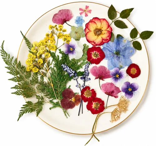Vista 8 de Pressed Dried Flowers for Crafts, 50 Pcs Real Dried Flowers for Resin Romantic