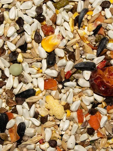 Vista 6 de Volkman Avian Science Diet Parrotlet Comida para pájaros 4 libras