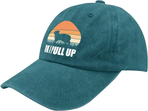 Vista 2 de devor Baseball Caps Ok I Pull Up Baseball Cap for Men Funny Denim Dad Hats Adjustable