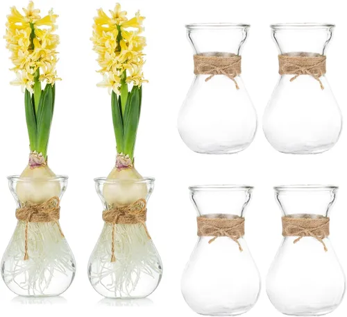 Vista 8 de Glasseam Jarrón de cristal transparente para flores, juego de 3 jarrones de bombilla para forzar bulbos de jacinto, pequeños jarrones decorativos