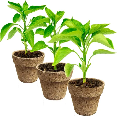 Vista 6 de Deepthi Macetas de vivero de fibra de coco de 3 pulgadas, paquete de 6 tazas de inicio de semillas biodegradables, macetas de turba de coco orgánico