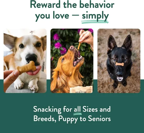 Vista 7 de Portland Pet Food Company Golosinas para Perros de Manzana y Menta Galletas Saludables para Perros Pequeños, Medianos y Grandes - Sin Granos, Grado