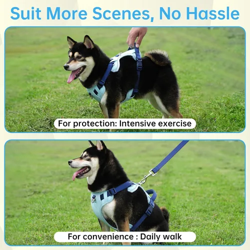 Vista 7 de Arnés para Perro Sin Tirones, Juego de Correa y Collar, Chaleco Suave y Ajustable para Perros, Reflectante y con Mango Cómodo Azul, Talla Pequeña