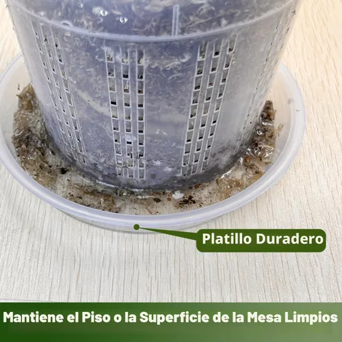 Vista 6 de Maceta de orquídeas con platillos, 4 de cada una de 4.3" y 5.5" macetas de orquídeas con agujeros, 8 piezas de macetas de plástico transparente