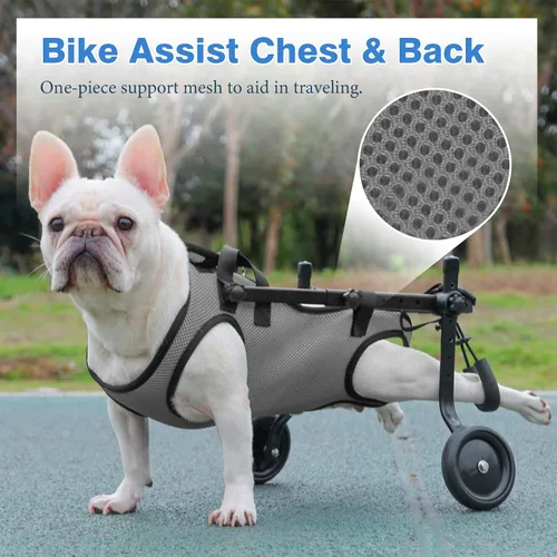Vista 3 de Silla de ruedas gris para patas traseras, herramientas de paseo para mascotas, cómoda malla transpirable para perros, ayuda de movilidad ajustable