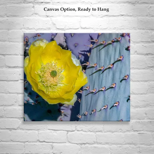 Vista 2 de Blue Prickly Pear Purple Cactus Art Print with Spring Blossom!