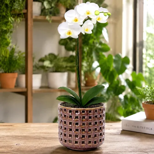 Vista 2 de D'vine Dev Maceta de cerámica para orquídeas de 4.5 pulgadas con diseño de recorte de celosía, maceta esmaltada con maceta transparente y platillo