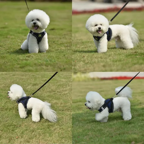 Vista 18 de Juego de arnés y correa para perros pequeños, arnés reflectante ajustable sin tirones, arnés transpirable suave para cachorros y perros pequeños