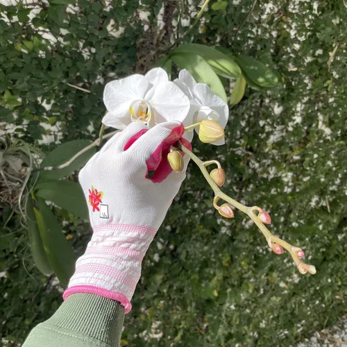 Vista 5 de ArtAK Guantes de jardinería para mujer, 3 pares, ligeros y transpirables, revestimiento de nitrilo, flexibles y protectores, lavables a máquina