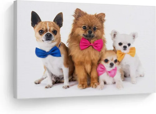 Vista 16 de Diseño de arte de la sonrisa Retrato de lindo Yorkie Yorkshire Terrier perro animal lienzo de pared impresión arte del dueño de mascotas amante