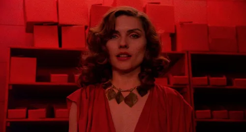 Vista 3 de Videodrome (The Criterion Collection) Blu-ray