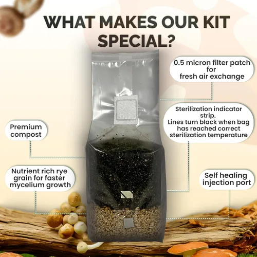 Vista 3 de MycoHaus Kit de cultivo de hongos todo en uno con puertos de inyección Bolsas de cultivo de interior para hongos Suministros de cultivo