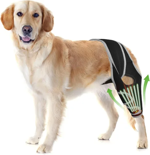 Vista 9 de Rodillera para perros pequeños, estabilidad de rodilla y soporte activo, talla S Provides comfortable knee support for dogs with joint weakness