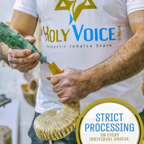 Vista 4 de Holy Voice Bocina Kosher Ram Shofar de Israel de 14 a 16 pulgadas, tradicional medio pulido, instrumento musical judío antiguo de Tierra Santa