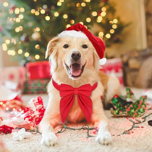 Vista 2 de Collar de perro de Navidad Malier con moño, collares de Navidad rojos clásicos para niñas y niños, collares de cachorro ajustables y lindos