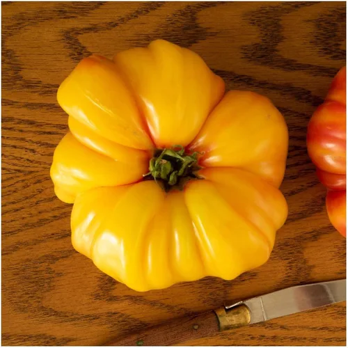 Vista 3 de Everwilde Farms - Semillas de tomate tradicionales de brandywine amarillo orgánico de 1 onza - Paquete Gold Vault