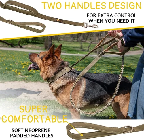 Vista 3 de Juego de correa y collar para perros extragrandes Green Bungee
