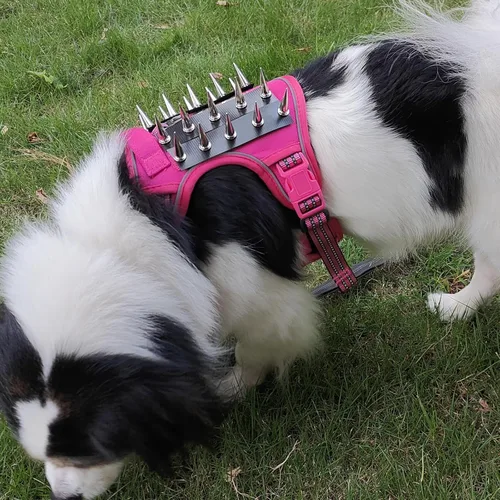 Vista 2 de Arnés táctico para perro, chaleco reflectante sin tirones, chaleco táctico para perro de trabajo, chaleco de servicio para perro, chaleco