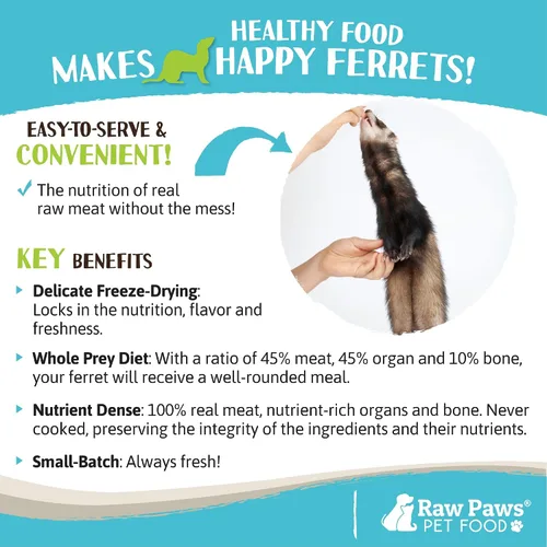Vista 5 de Raw Paws Alimento liofilizado para hurones – Receta de carne de res, 16 onzas – Hecho en Estados Unidos – Dieta de hurones sin granos para hurones