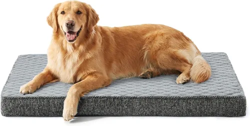 Vista 27 de JOEJOY Cama ortopédica para perros extra grandes