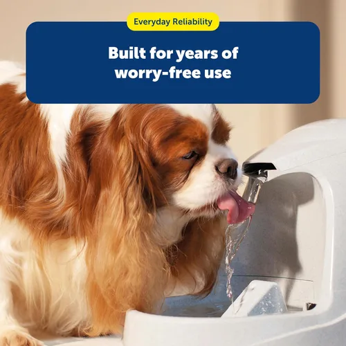Vista 6 de Filtros de reemplazo de carbono premium PetSafe Drinkwell - Mejora el sabor del agua - Carbón activado de cáscaras de coco - Compatible con fuentes