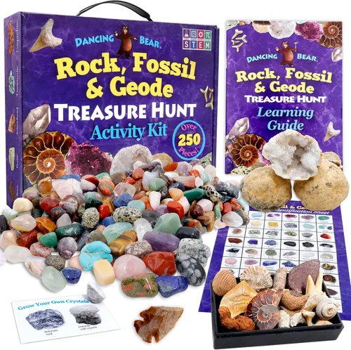 Vista 2 de DANCING BEAR Paquete de fósiles de Geología: 2 kits de actividades STEM: actividad de clasificación de rocas, minerales y geodas y fósiles