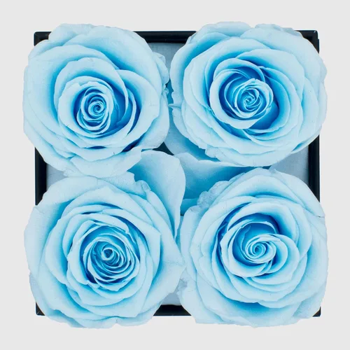 Vista 2 de Graceful Fleurs - Rosas reales de larga duración en una caja durante años, flores frescas preservadas para siempre para cumpleaños, Día de la Madre