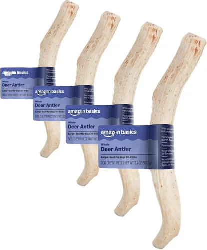 Vista 9 de Marca Amazon – Wag Dog Deer Antler masticable, desprendido naturalmente. Entero, pequeño, de larga duración para masticadores agresivos, mejor