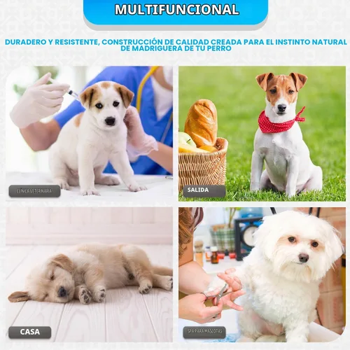 Vista 3 de [Usado] FDW Jaula para perros pequeños de 24 pulgadas plegable de metal con alambre para mascotas, doble puerta con panel divisor para interiores