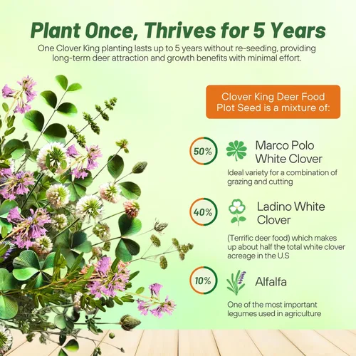 Vista 3 de Outsidepride - Semillas Clover King para parcelas de comida de ciervos y vida silvestre, 5 lb