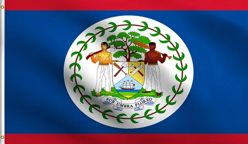 Vista 57 de DMSE - Bandera nacional beninesa beninesa de la República de África Occidental, 2 x 3 pies, 100 % poliéster, 100 % poliéster, resistente a los rayos