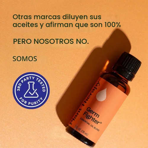 Vista 3 de Plant Therapy Germ Fighter Mezcla de aceites esenciales, aromaterapia natural 1 fl oz