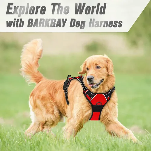 Vista 170 de BARKBAY - Arnés para perro sin tirones con clip frontal, material resistente y reflectante, asa de fácil control para pasear perros grandes