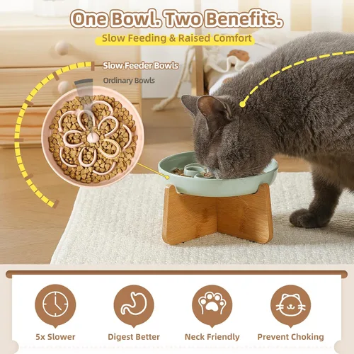 Vista 3 de PTOBER Cuenco elevado para gatos de alimentación lenta – Plato de melamina para gatos con soporte de bambú antideslizante – Tazón de alimentación