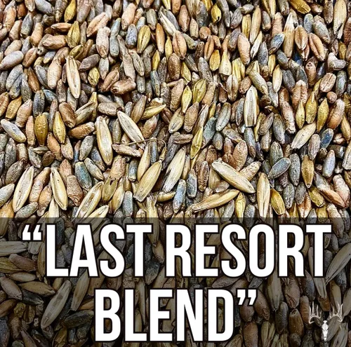 Vista 7 de Crooked Bend Last Resort Blend, EcoPack de 12 libras, semillas de parcela de alimentos de invierno para ciervos, centeno de grano de cereales
