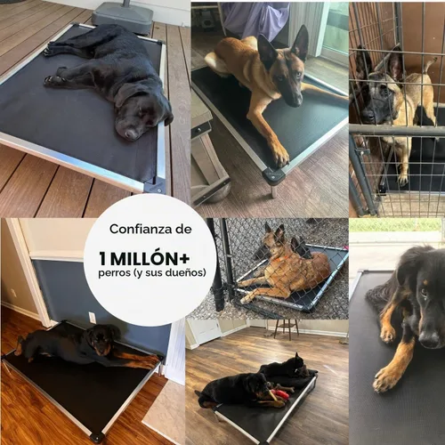 Vista 7 de K9 Ballistics Cama Cot Elevada de Enfriamiento para Exteriores a Prueba de Masticación para Perros Pequeños y Cachorros - Prácticamente Malla Negra