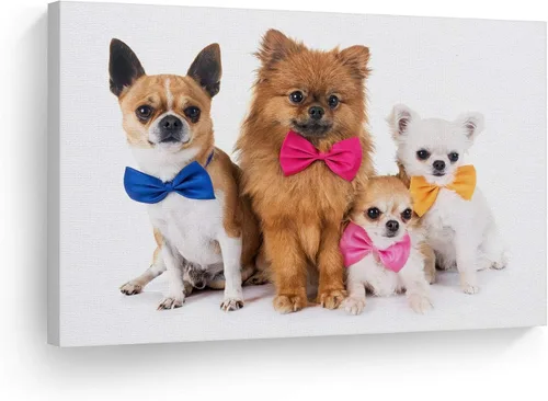 Vista 17 de Diseño de arte de la sonrisa Retrato de lindo Yorkie Yorkshire Terrier perro animal lienzo de pared impresión arte del dueño de mascotas amante